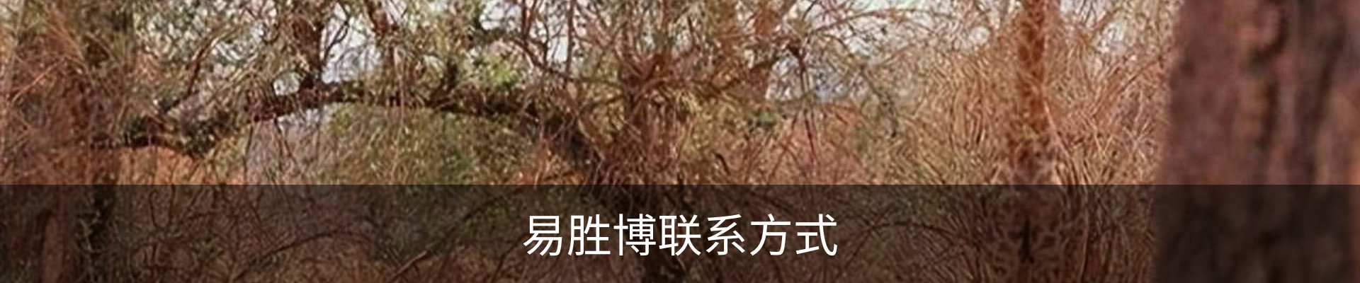 易胜博联系方式